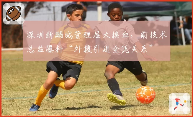 深圳新鹏城管理层大换血，前技术总监爆料“外援引进全凭关系”