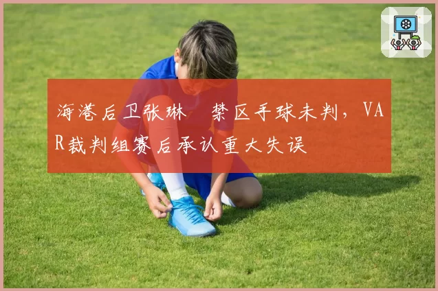 海港后卫张琳芃禁区手球未判，VAR裁判组赛后承认重大失误