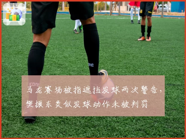 马龙赛场被指遮挡发球两次警告，樊振东类似发球动作未被判罚